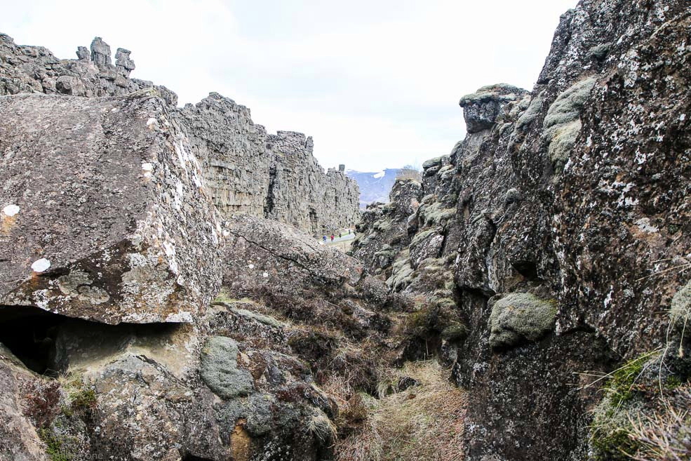 012 Thingvellir Iceland