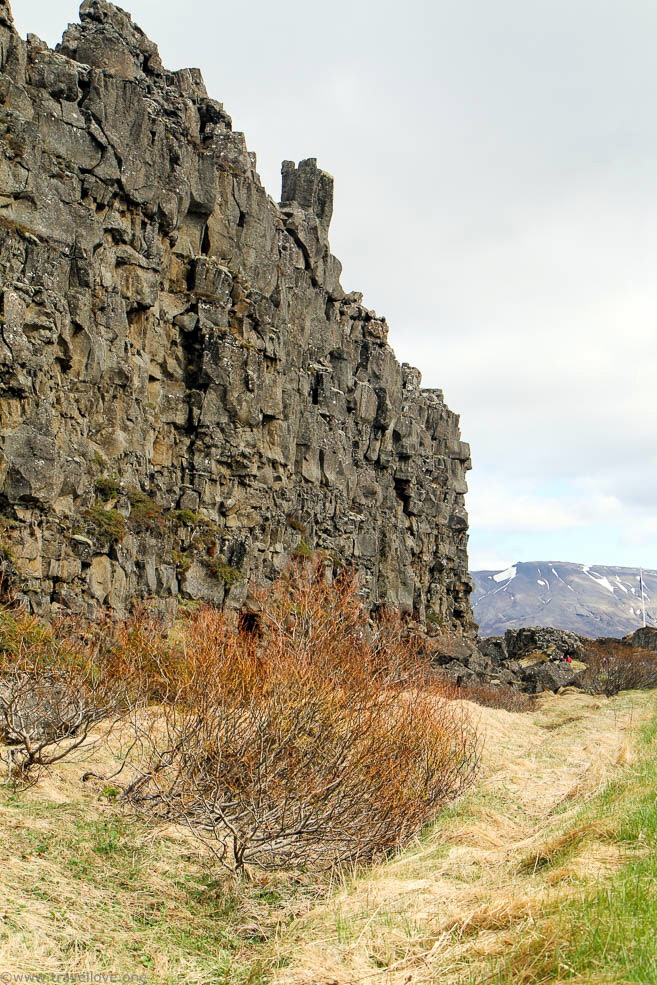 021 Thingvellir Iceland