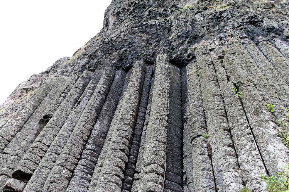 50 Giant`s Causeway Organ