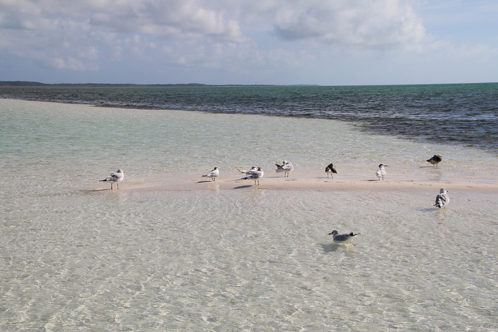 096 Coco Cay Beach