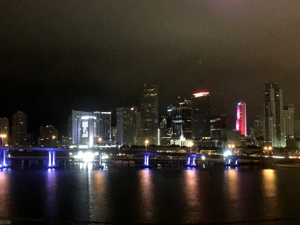 222 Miami Skyline