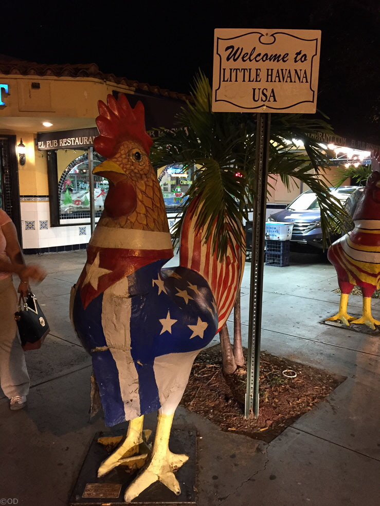 228 Miami Little Havana