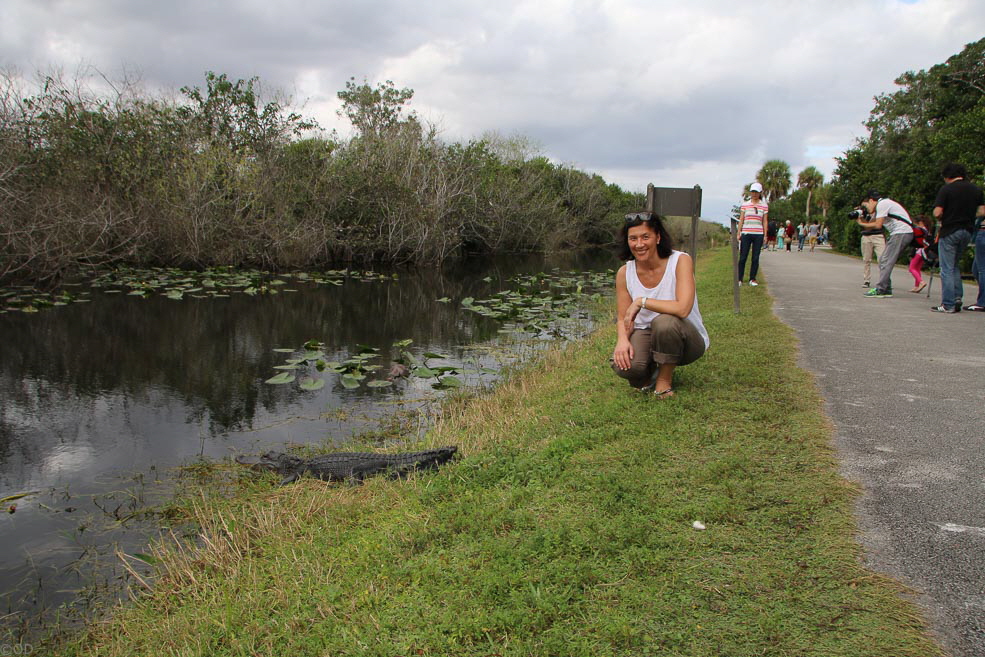 329 Shark Valley Everglades