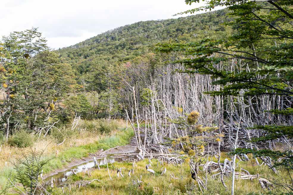 440 Ushuaia Tierra del Fuego