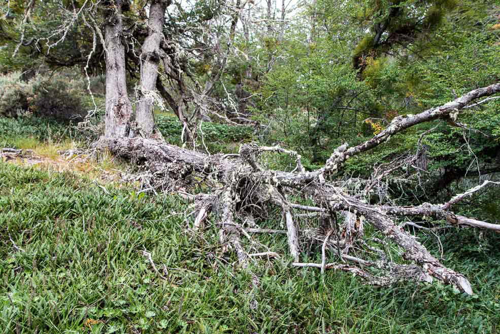 455 Ushuaia Tierra del Fuego