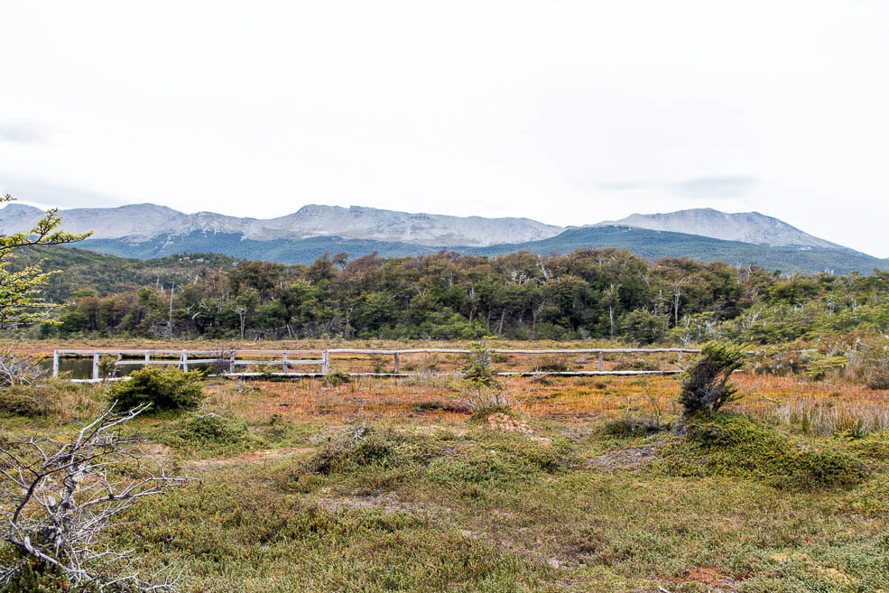 457 Laguna Negra Ushuaia Tierra del Fuego