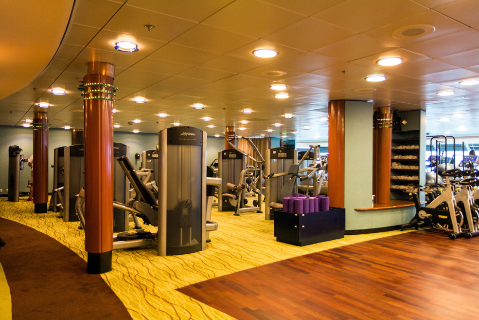 566 Celebrity Infinity Gym