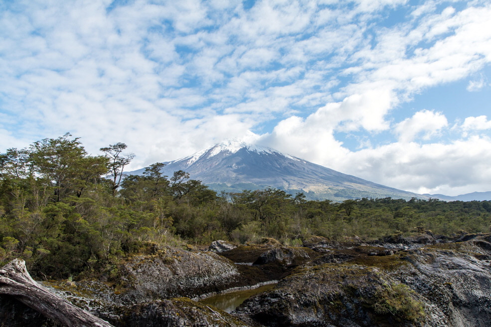 609 Osorno