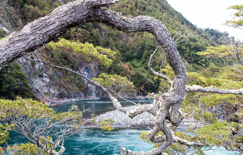 617 Petrohue Rapids